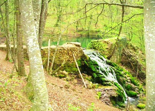 Достопримечательности Украины: Водопад Серебряный (Водопад Серебряные струи)