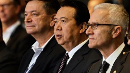 Китайские власти подтвердили задержание главы Интерпола