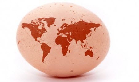 Сегодня отмечается Всемирный день Яйца