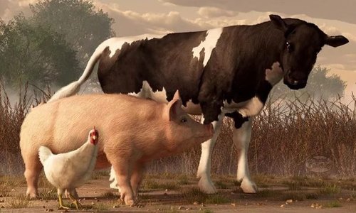 Притча о Корове и Свинье