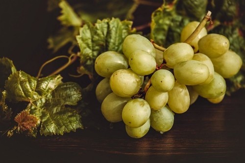 Осенний уход за виноградом