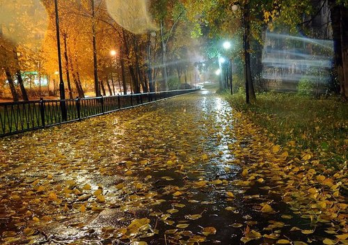 Прогноз погоды в Украине на 24 октября: дождливо