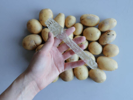 Студент создал биоразлагаемый пластик из картофеля