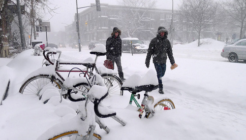 В Канаде за сутки выпало три месячных нормы снега