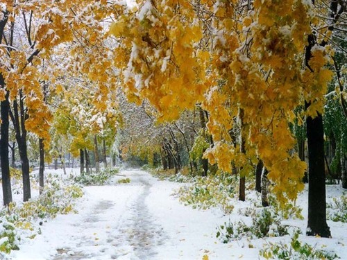 Прогноз погоды в Украине на 22 ноября