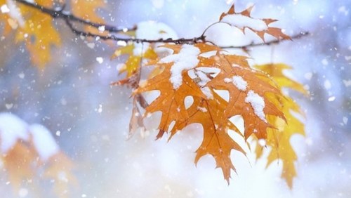 Прогноз погоды в Украине на выходные, 24-25 ноября