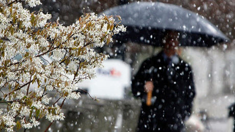 Прогноз погоды в Украине на неделю, 27 ноября – 2 декабря: дожди, снега и похолодание