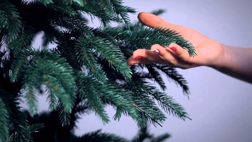 Новогодняя елка: искусственная или натуральная
