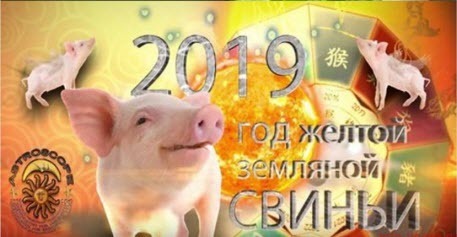 Любовный гороскоп на 2019 год от Желтой Земляной Свиньи