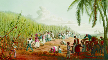 Как рабовладельцы на Карибах контролировали рабов