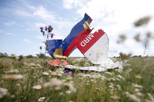Нидерланды заявили о намерении подать на Россию в суд из-за сбитого MH17