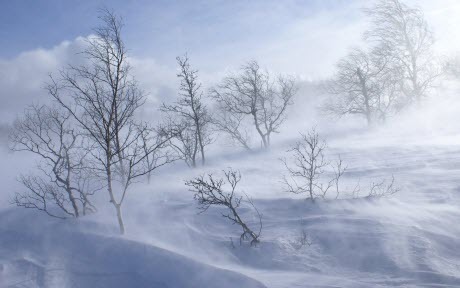 Прогноз погоди в Україні на 10 січня