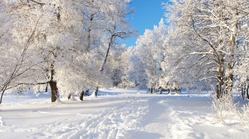 Прогноз погоди в Україні на 15 січня