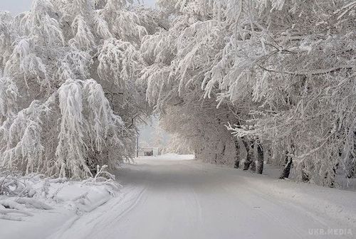 Прогноз погоди в Україні на 20 січня