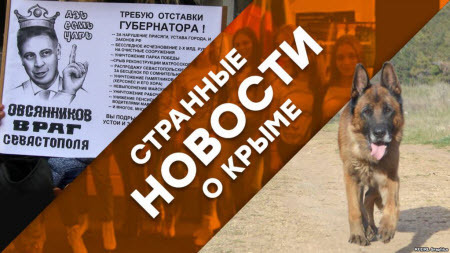 Странные новости о Крыме: референдум для Севастополя и челябинский пес в Бахчисарае