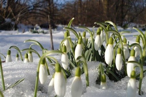 Прогноз погоди в Україні на 2 березня