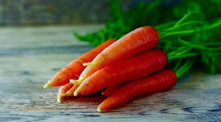Морковь: выращивание, полив и уход