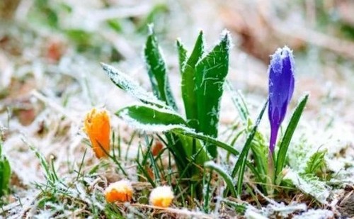 Прогноз погоди в Україні на 18 квітня