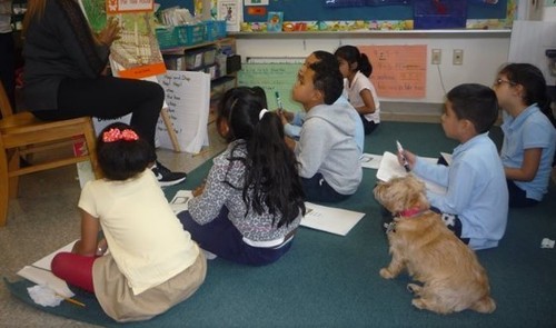 Собака приучает детей к чтению