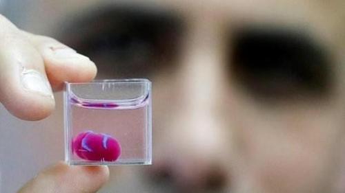 Ученые напечатали первое в мире 3D-сердце