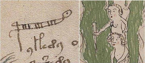 Расшифрован самый загадочный текст в мире — манускрипт Войнича