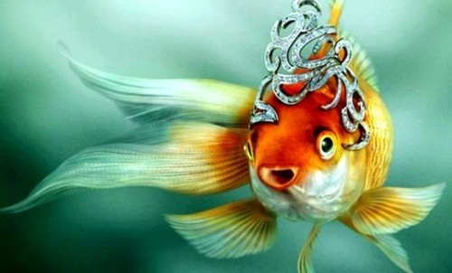 Короткий анекдот четверга