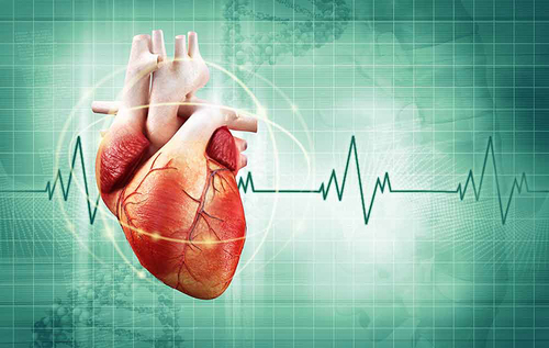 Высокое артериальное давление: почему повышается и что с этим делать