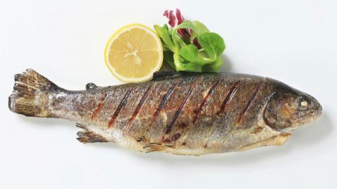 Почему нельзя есть много рыбы и морепродуктов