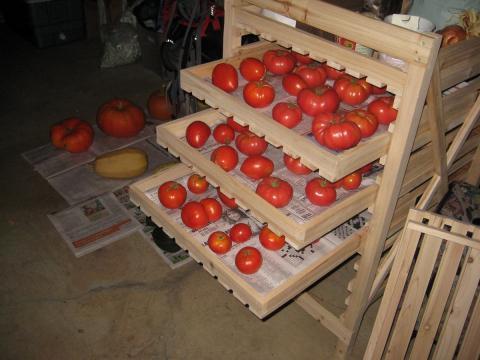 Способы хранения свежих томатов до весны