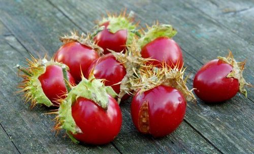 Колючий помидор личи – экзотический овощ