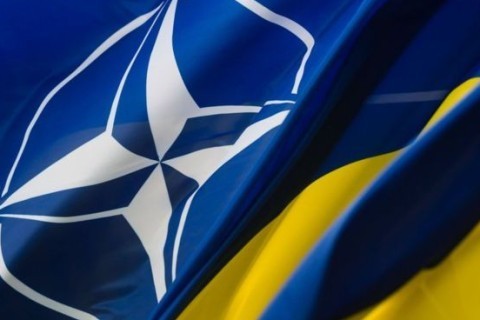 В Слуге народа считают, что Украине стоит отказаться от вступления в НАТО