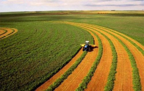 Земельна реформа: хто виграє від ринку землі в Україні