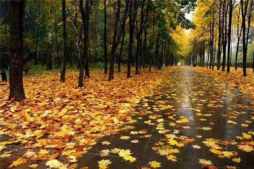 Прогноз погоди в Україні на 9 жовтня