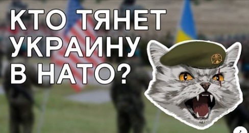 "Зачем Украине идти в НАТО?" - Алексей Петров