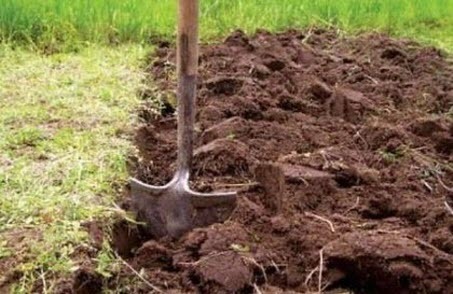 Копать или не копать огород? Нужна ли осенняя перекопка?