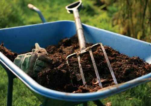 Органические удобрения осенью: виды и сроки внесения в почву