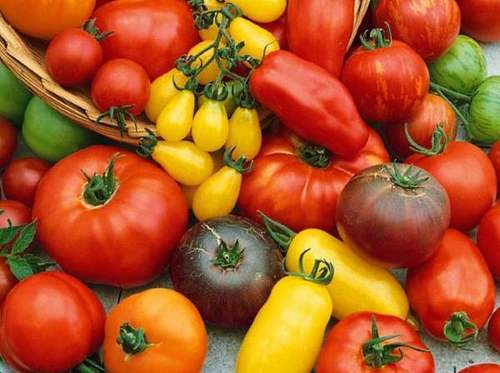 Как правильно выбрать семена томатов