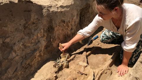 В Турции археологи раскопали пирамиду, построенную восемь тысяч лет назад