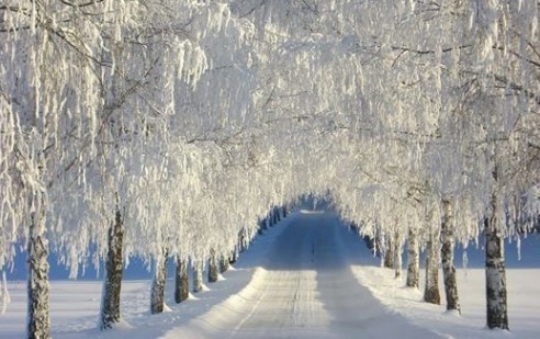 Прогноз погоди в Україні на 5 грудня
