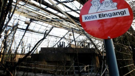 В Германии десятки животных погибли при пожаре в зоопарке