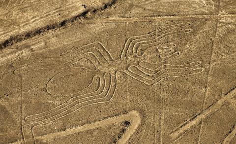Японские ученые смогли расшифровать загадочные геоглифы в пустыне Наска