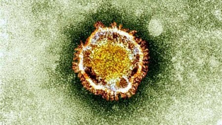Во Франции зафиксировали два случая заболевания коронавирусом