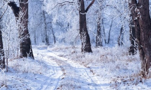 Прогноз погоди в Україні на 7 лютого