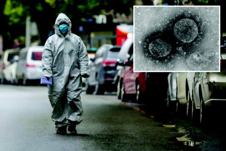 Почему для США грипп опаснее коронавируса