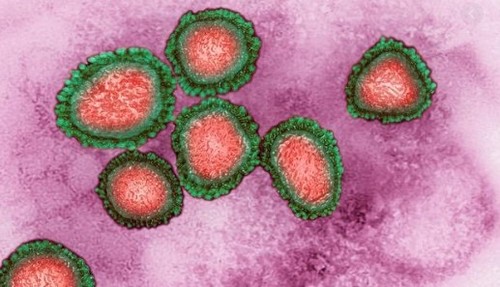 Эпидемия коронавируса: какие принимаются меры