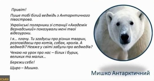 "По поводу антарктических медведей, проблем с вычитанием и Атлантическим океаном" - Татьяна Худякова