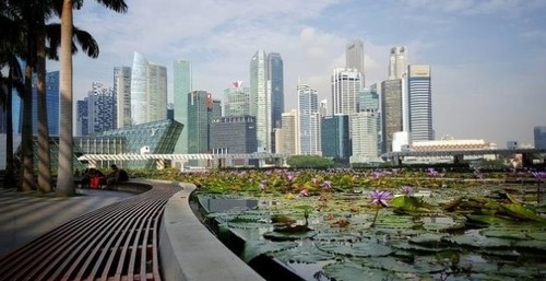 В Сингапуре отмечена вторая волна заражений COVID-19