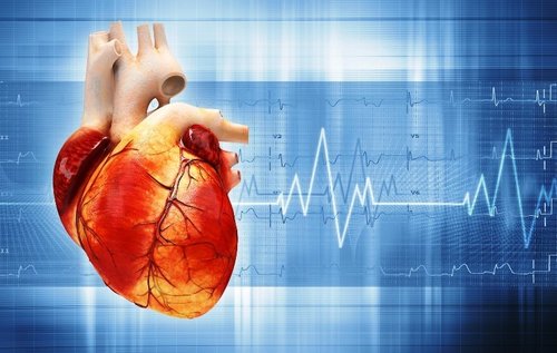 Тахикардия: как уменьшить частоту сердцебиения