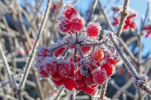 В Украине ожидается рекордное похолодание