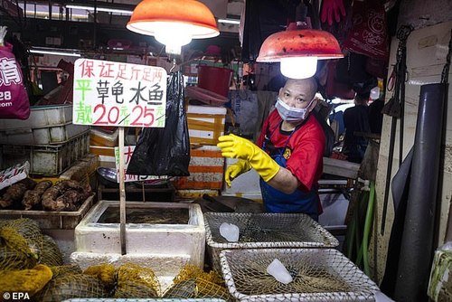 Китай утверждает, что уханький рынок не был источником коронавируса, а вирус там появился из-за "суперраспространителя"